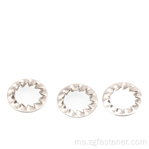 DIN6798 Gigi dalaman keluli tahan karat Serrated Lock Washer